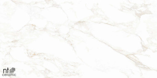Керамогранит NT Ceramic Marmo Marble Extra Endless Mat арт. NTT99526M (60x120) матовый